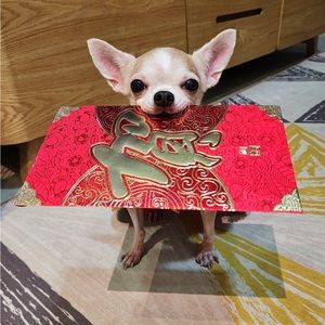 Meet your Posher, Busha